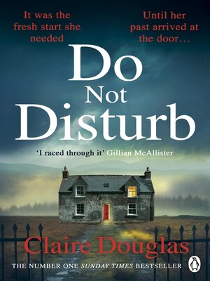 Do Not Disturb - ebook
